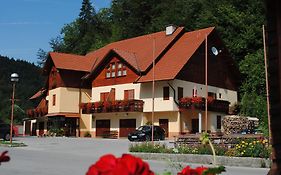 Pri Vidrgarju